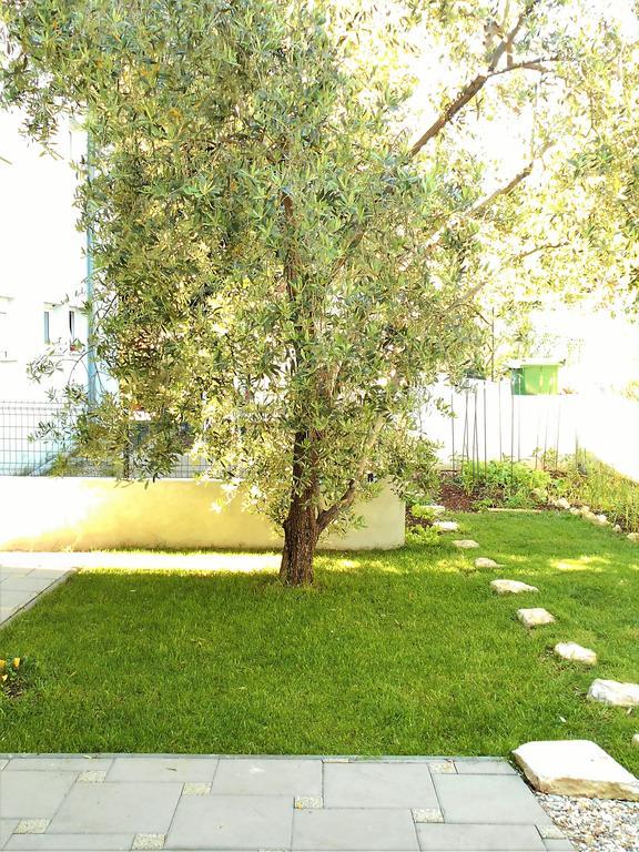 Apartments Doda Zadar Exterior photo